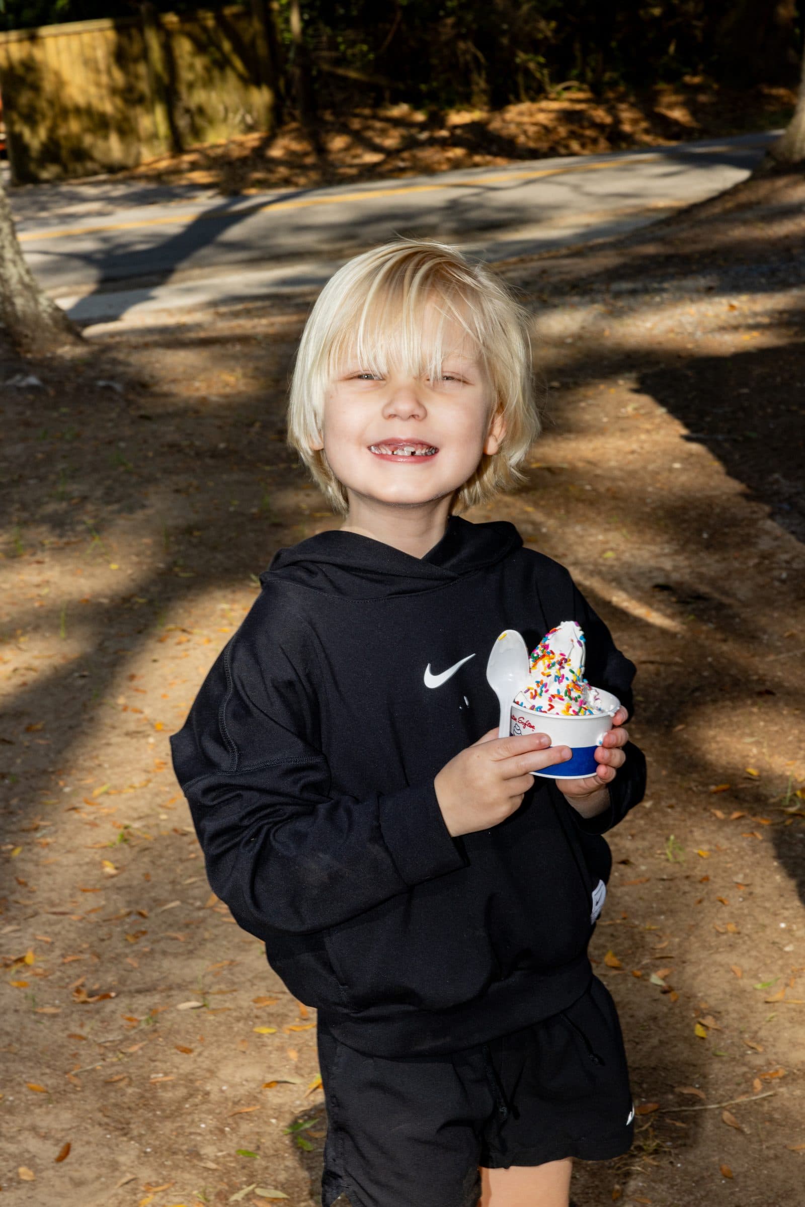 Mister Softee Charleston in action