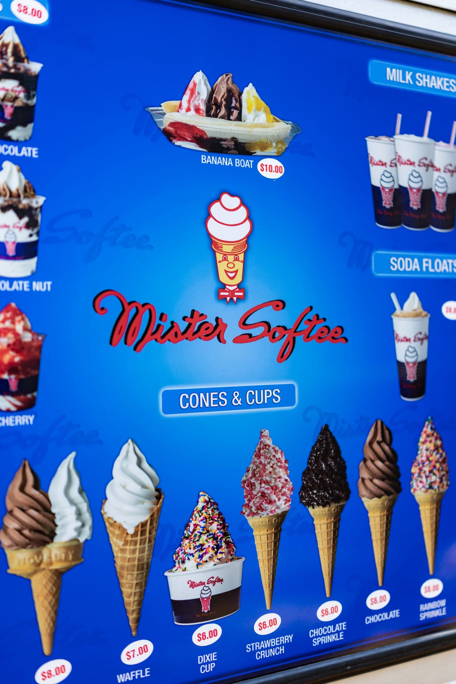 Mister Softee Charleston in action